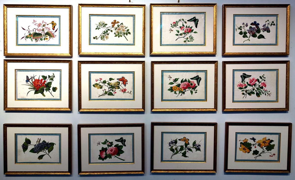 China Trade Botanical Studies with Insects, by Youqua Painter Old Street No. 34, Set of Twelve Circa 1840-50