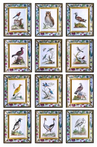 George Edwards Set of Twelve Bird Engravings, within Modern Decoupage Frames, From A Natural History of Uncommon Birds. Circa 17