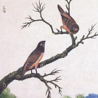 Chinese Export Bird Watercolour Paintings