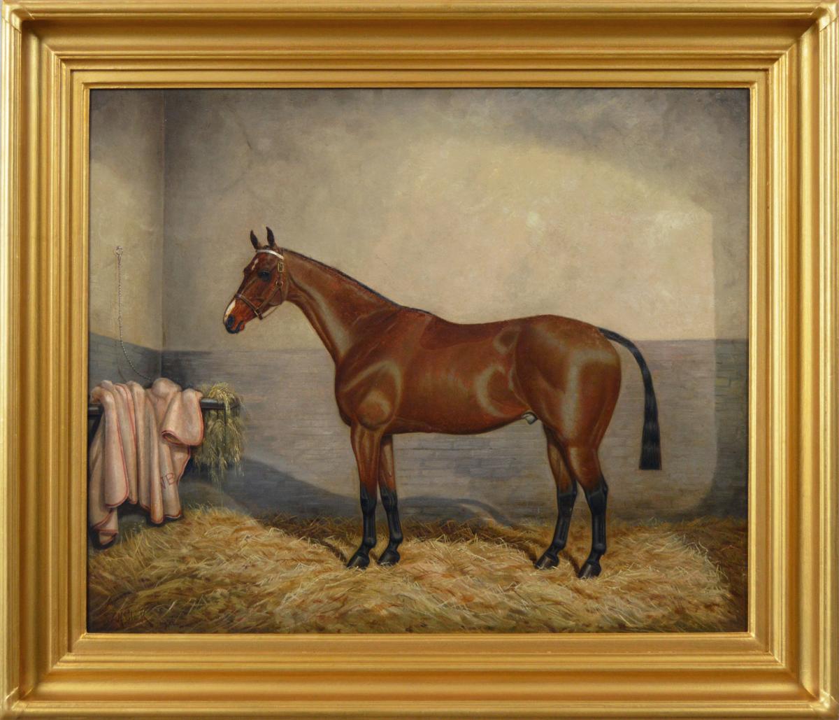 Sporting portrait of a bay racehorse William Albert Clark | BADA