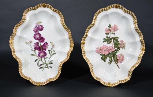 Antique English Chamberlain Worcester Porcelain Pair of Large Shaped Oval Botanical Dishes, Circa 1815-20.