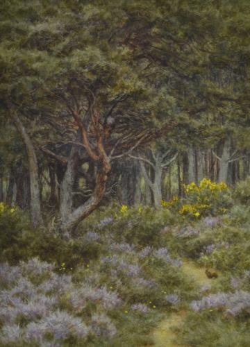 Helen Allingham - The Woodland Path