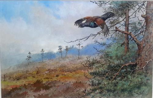 George Edward Lodge - Capercaillie in Flight
