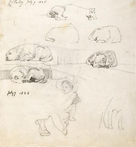 Studies of Sleeping Dogs, Cornelius Varley 1781-1873