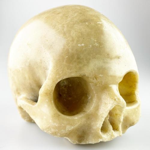 Alabaster skull. Italian, late 17th century
