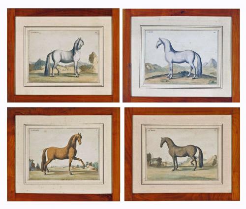 Handcoloured Prints of Horses from "L'art de monter a cheval: ou Description du manége moderne, dans sa perfection" by Baron D'Eisenberg, Published in 1747