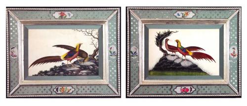 China Trade Watercolours of Birds in Églomisé Frames, Circa 1840