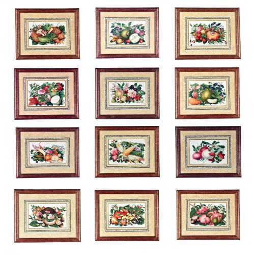 China Trade Watercolor & Gouache on Pith Paper, Set of Twelve Paintings of Fruit and Flowers, Circa 1850