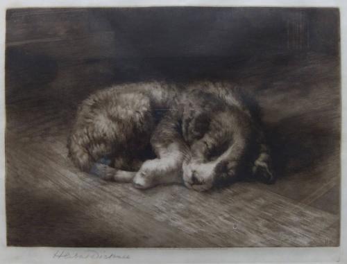 Herbert Dicksee etching dog puppy