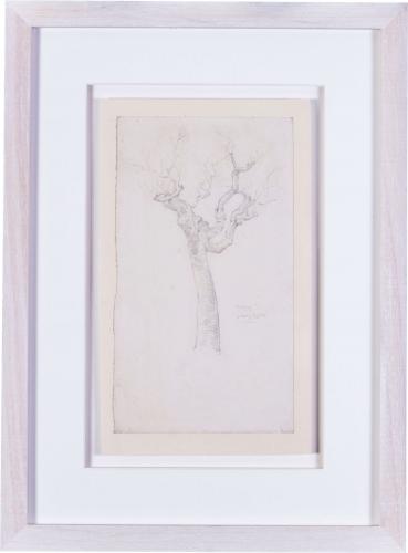 Evelyn de Morgan, (British, 1855-1919), A Twisted Tree Study