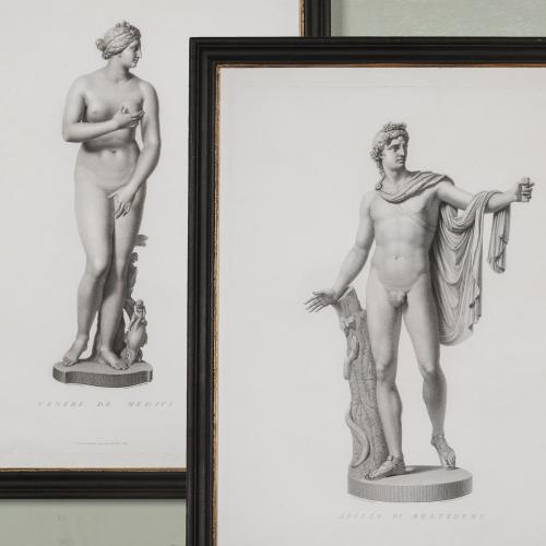 Belvedere Apollo and Medici Venus